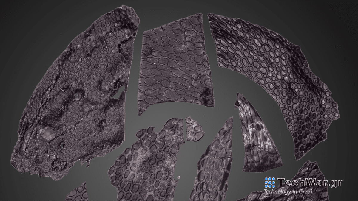 Το παλαιότερο απολιθωμένο δέρμα που ανακαλύφθηκε, χρονολογείται στα 300 εκατομμύρια χρόνια