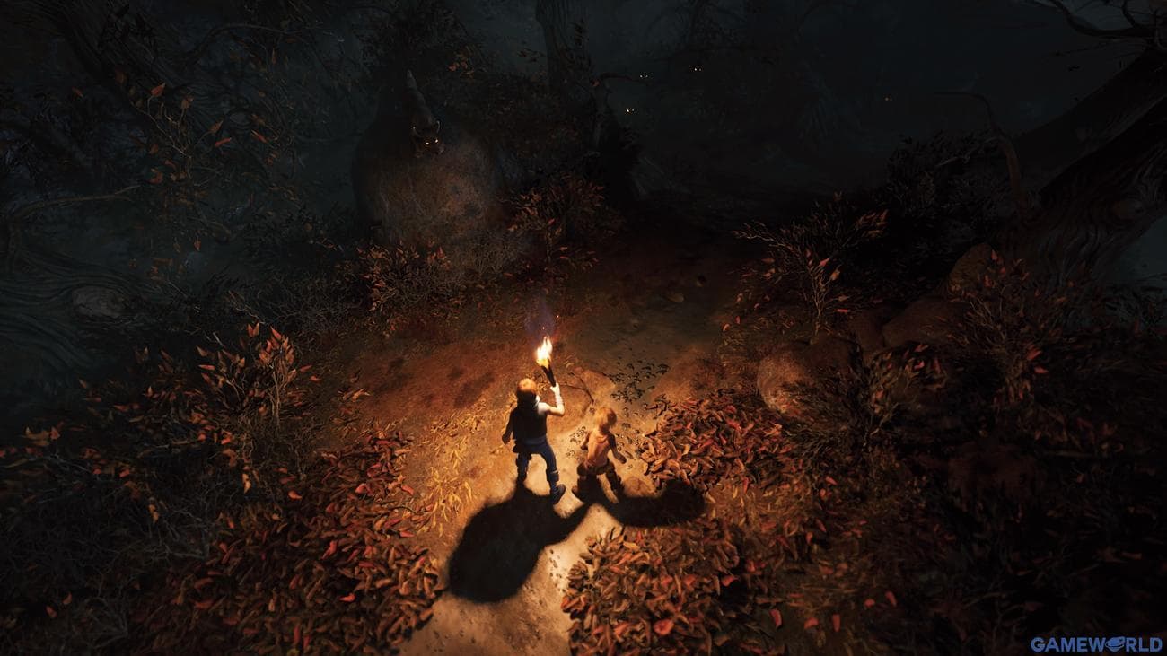 brothers a tale of two sons remake 3