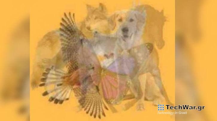 Αυτό που βλέπετε πρώτα αποκαλύπτει κρυμμένα στοιχεία του χαρακτήρα σας / FOXreport.gr