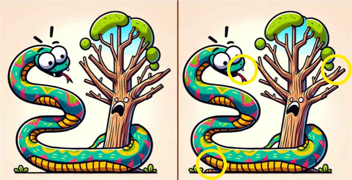 Τεστ παρατηρητικότητας, διαφορές, ανακόντα λύση