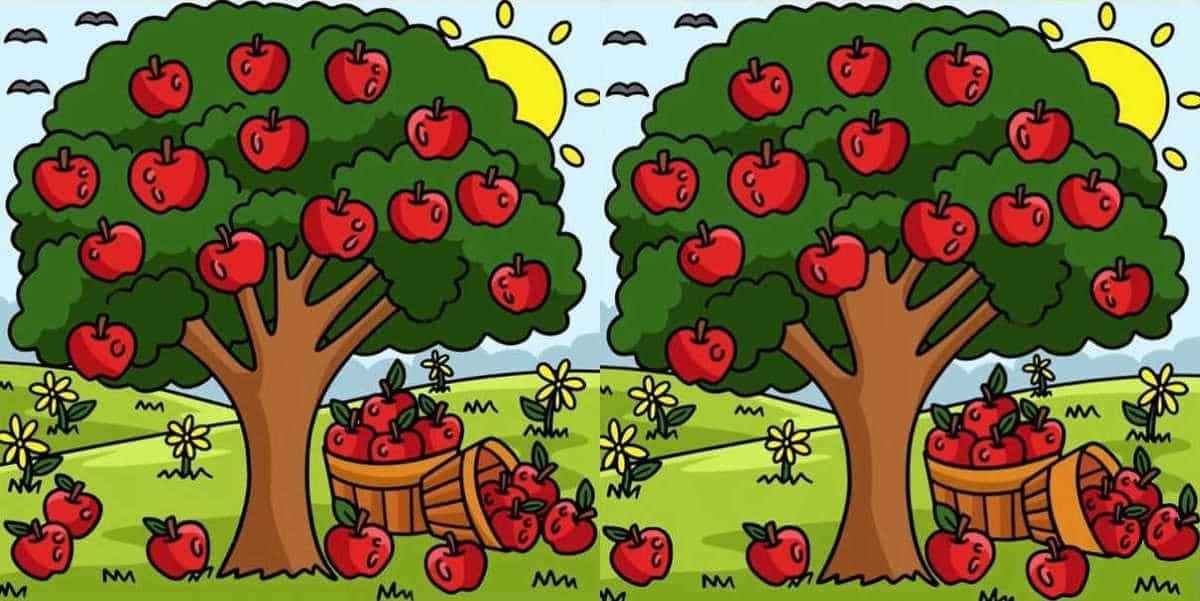 Τεστ παρατηρητικότητας διαφορές μηλιά