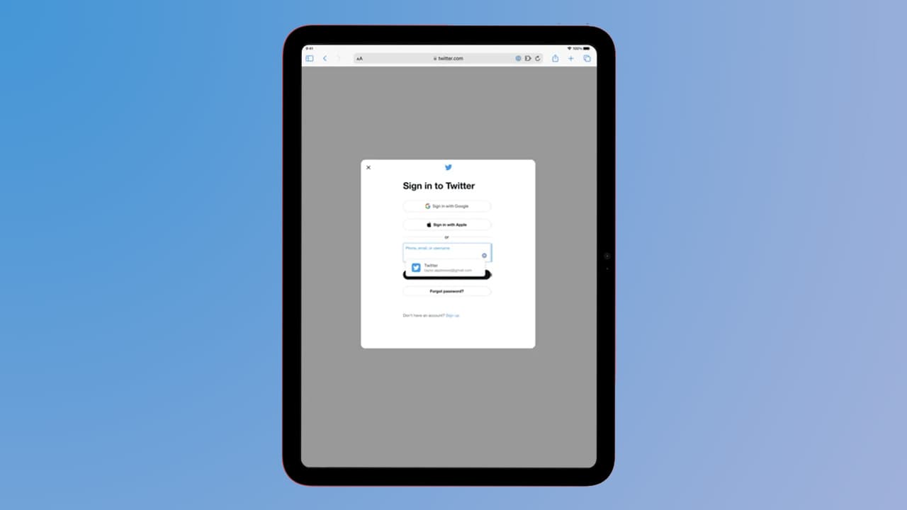 1Password on iPad
