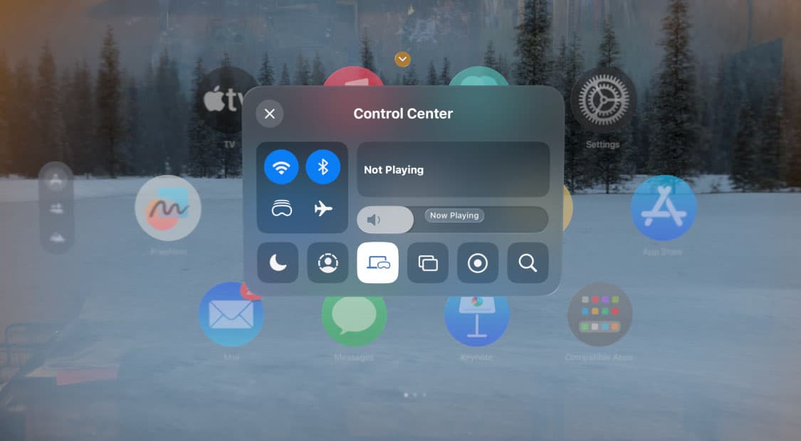 Vision Pro control panel