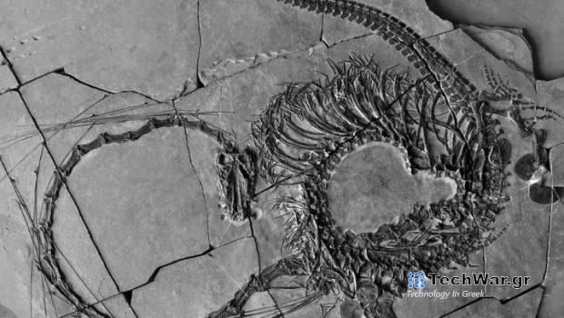 Κίνα: Βρέθηκε απολιθωμένος «δράκος» 240 εκατομμυρίων ετών