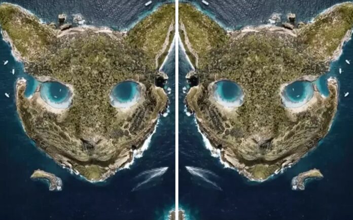 Τεστ προσωπικότητας οπτική ψευδαίσθηση γάτα νησί