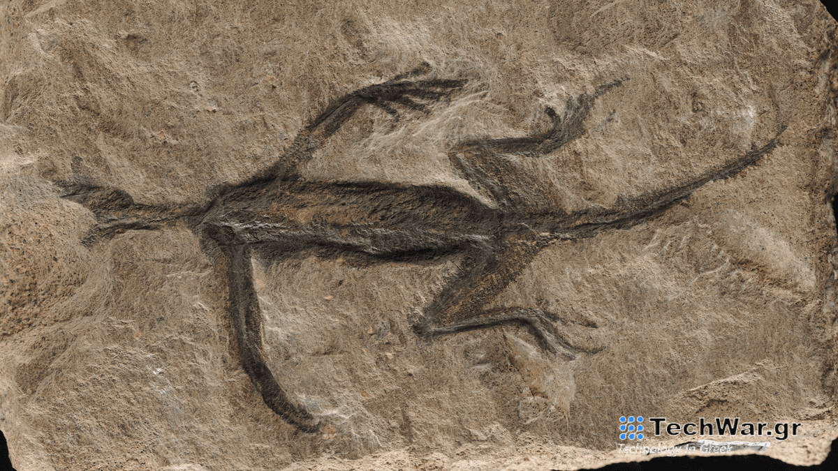 Αυτό το διάσημο «απολίθωμα» είναι απλώς ένας ζωγραφισμένος βράχος