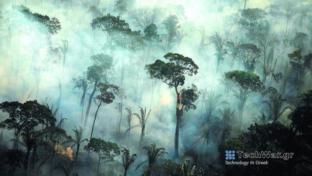 Αμαζόνιος: «Κόκκινος συναγερμός» καθώς το πολύτιμο δάσος απειλείται με κατάρρευση