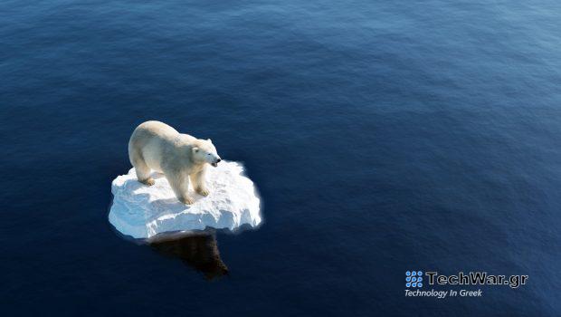 Κλιματική αλλαγή: O πάγος υποχωρεί, οι πολικές κινδυνεύουν από ασιτία