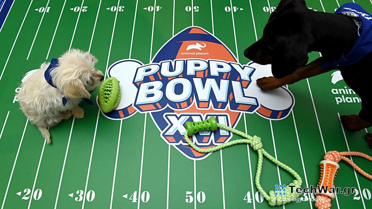 Ο Τέιλορ συμμετέχει στο μεγάλο παιχνίδι Ο Τέιλορ φτάνει στο μεγάλο παιχνίδι