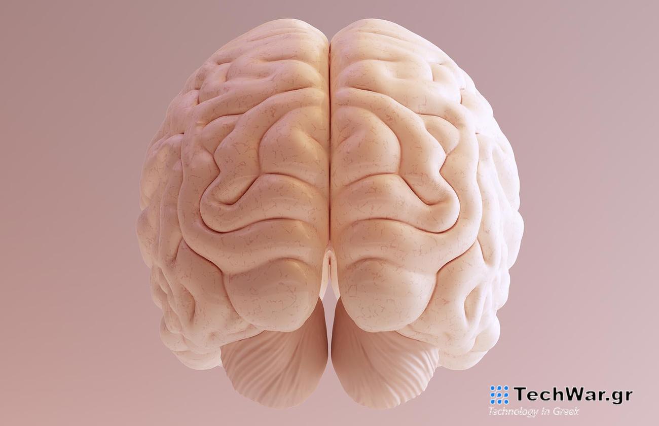 Ο τρισδιάστατος τυπωμένος εγκεφαλικός ιστός θα μπορούσε να φέρει επανάσταση στον τρόπο με τον οποίο μελετάμε τον εγκέφαλο