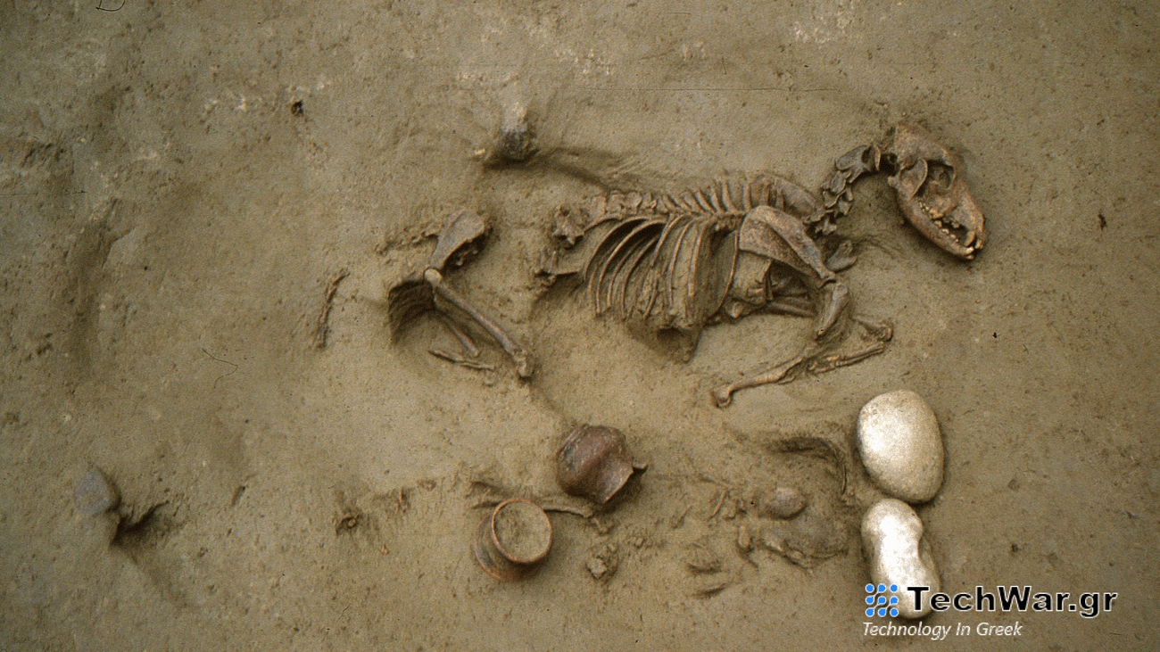 The skeletal remains of a frog and a human were uncovered at Seminario Vescovile in Verona, Italy.