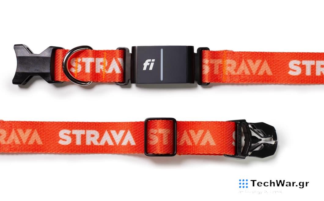 Τα αγαπημένα σας σκυλιά θα είναι τώρα στο Strava