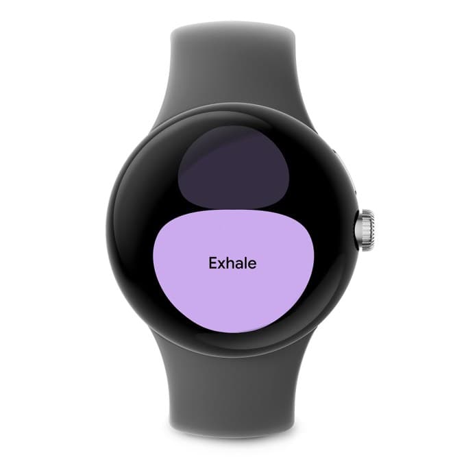 Το Pixel Watch έχει τώρα την εφαρμογή Fitbit Relax