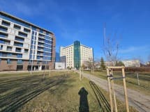 Δείγματα ημέρας Samsung Galaxy S23: 0,6x