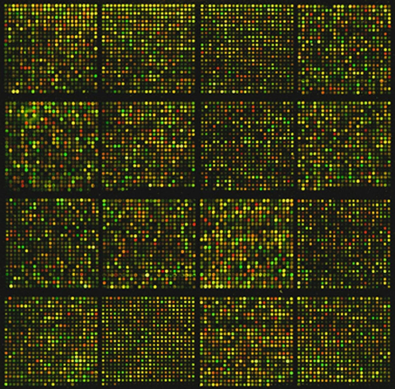 Τι είναι το έργο Genome India;  Εξερευνήστε πώς η Ινδία χαρτογραφεί το DNA της.  Ήδη έχουν αποκωδικοποιήσει τις γενετικές πληροφορίες 10.000 υγιών ατόμων!