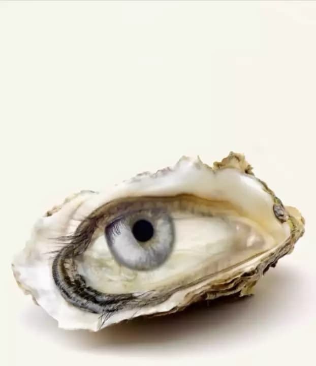 Τεστ προσωπικότητας οπτική ψευδαίσθηση