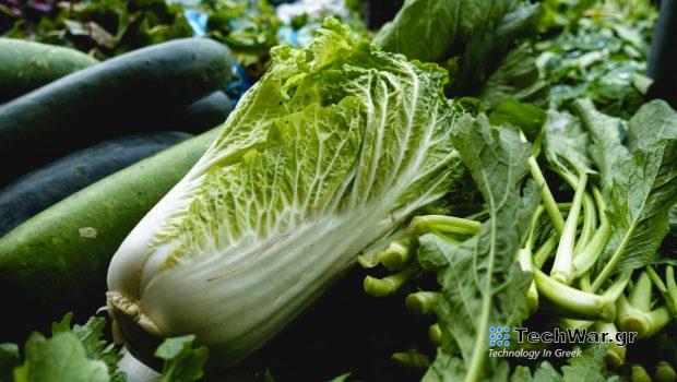 Γαστρεντερίτιδα: Να πώς θα τρώτε λαχανικά χωρίς φόβο μόλυνσης από το E.coli