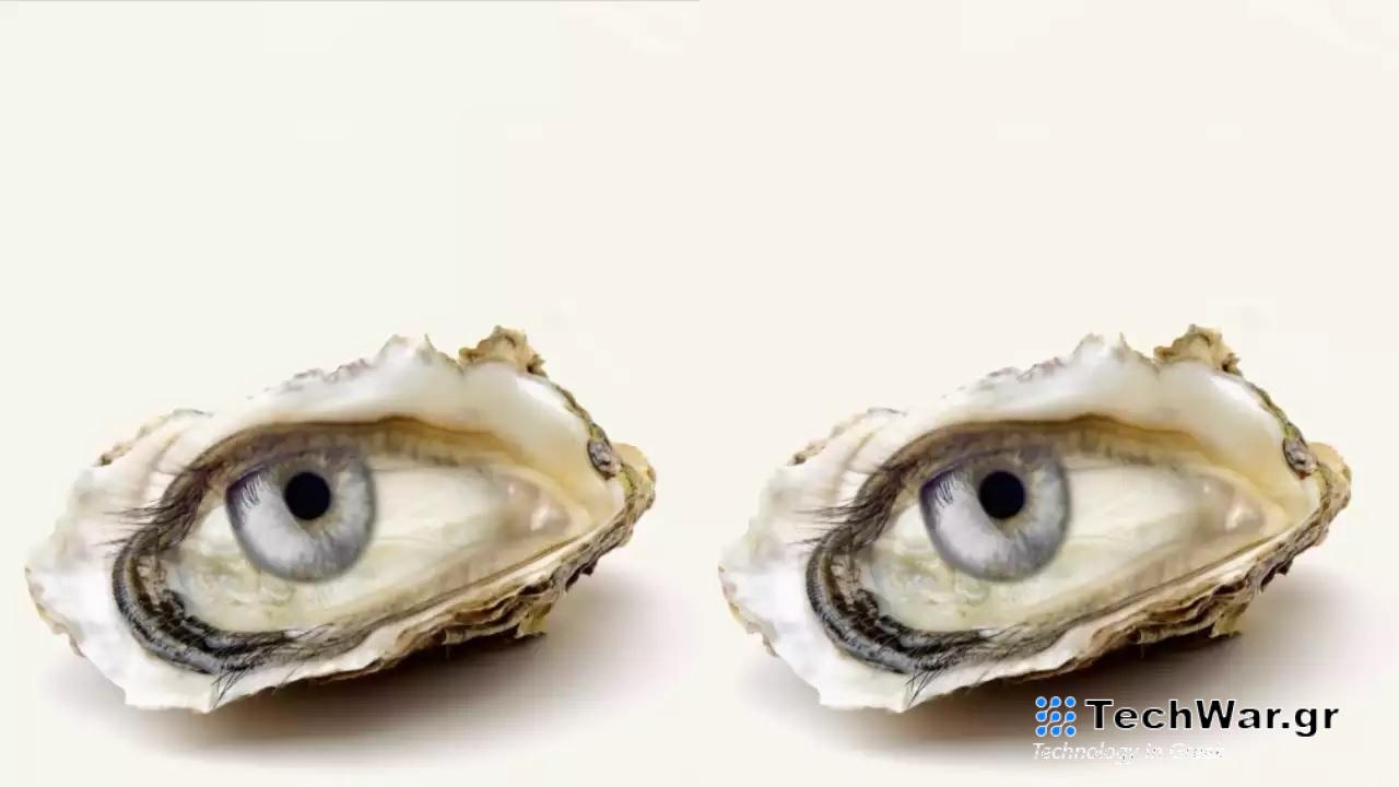 Τεστ προσωπικότητας οπτική ψευδαίσθηση