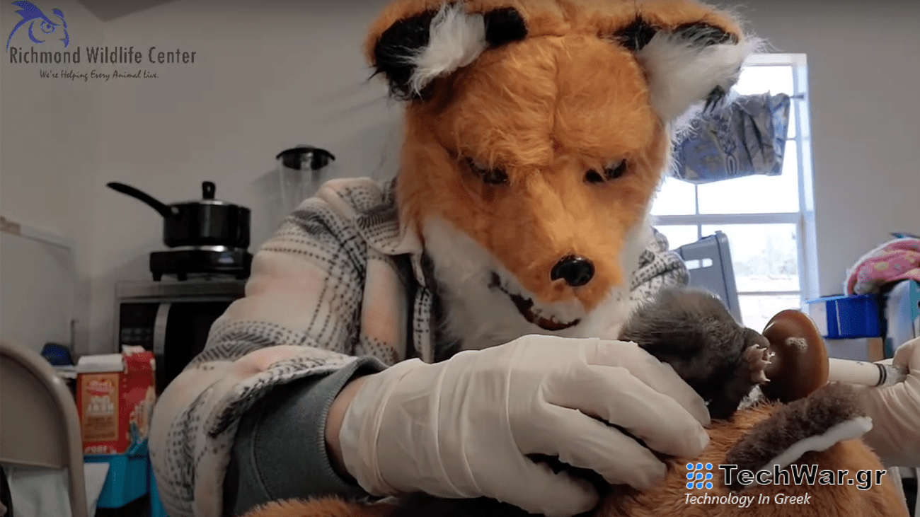 a human wears a fox mask while feeding a baby fox in its care
